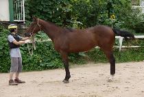 ������� (YEONGDONG DAERO) ����