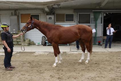 û���� ����