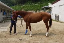 û�㵵�� (CHEONGDAM DOKKI) ����