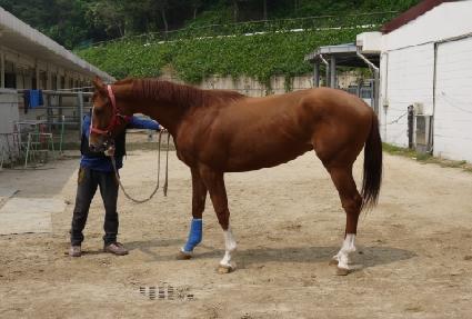 û�㵵�� ����