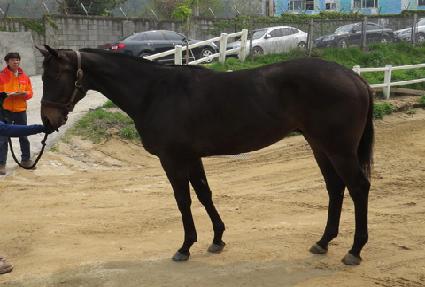 ����Ÿ�� ����