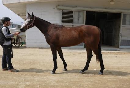 ���Ǹ������Ѽ� ����