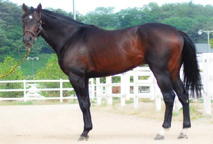 ���������Ĵ� ����