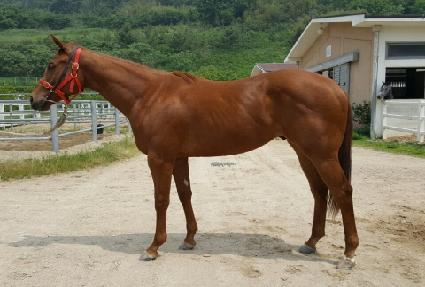 �������ġ ����