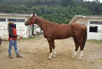 �ð������� (SIGANUI JIHYE) ����