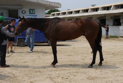 �ݾߵ��� ����