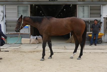 ���������� ����