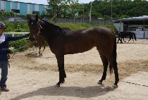 KENTUCKY YEONIN picture