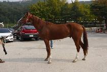 ��Ǭ���� (SPOON RIVER) ����