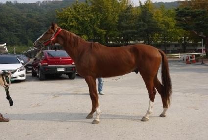 ��Ǭ���� ����