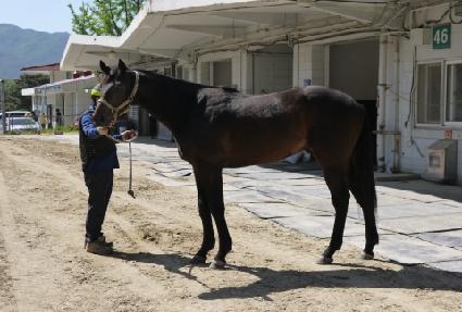 �ְ��Ӵ� ����