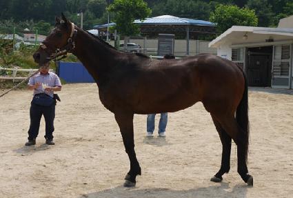 õ�� ����