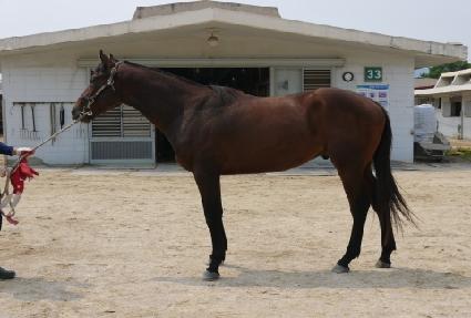 �����̱� ����