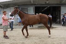 ������ (EOUL DEOUL) ����