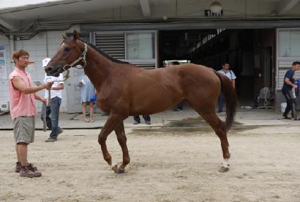 ������ ����