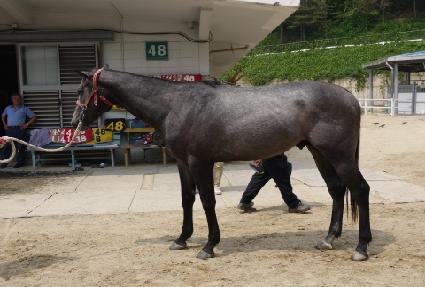 �ǿ�ũ��ٿ� ����