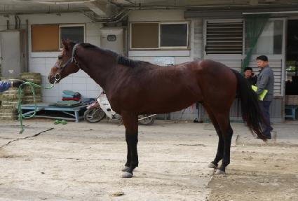 ���丮���� ����