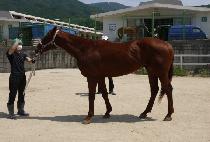 Ŭ��������� (CLEAN UP HERO) ����