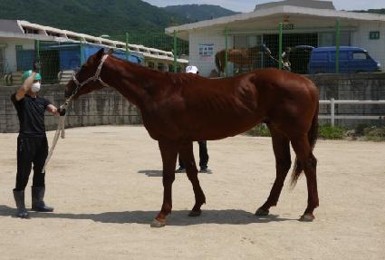 Ŭ��������� ����