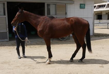 ���ȷ��� ����