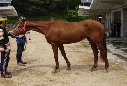 ����ũ���� ����