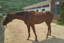 ��������ũ (B.K. PARK) ����