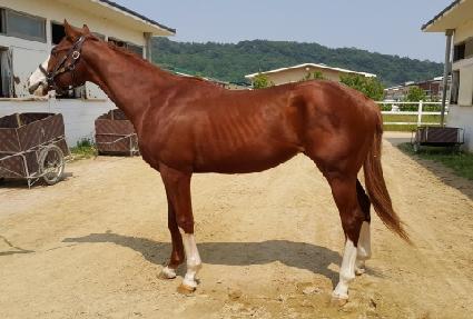 ��Ÿ����Ʈ ����