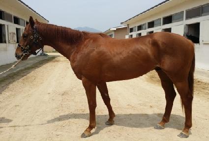 �Ŷ������� ����