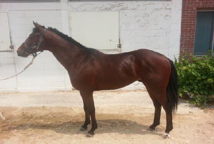 Ʈ���ÿ��� ����