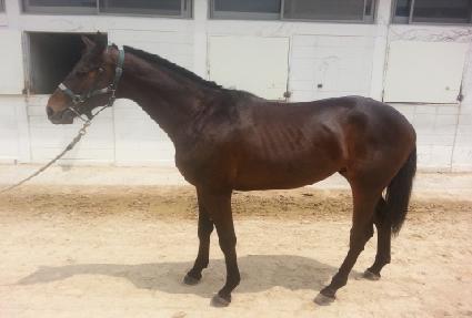 Ʈ���ýô� ����