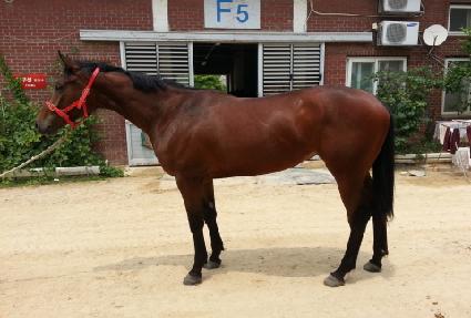 Ʈ�������� ����