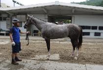 �������� (TWO TWO STORM) ����