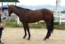 ���ƿ³��� (DORAON NALRI) ����