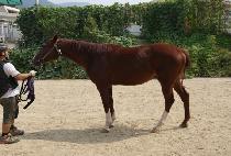 ��������� (SEONGEUN BRACHAH) ����