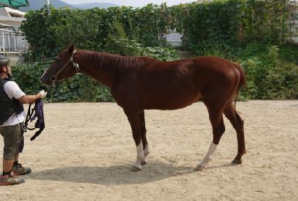 ��������� ����