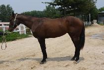 �ٺ��� (DA BIKYEO) ����