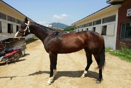 ��������Ǯ ����