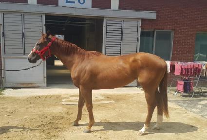 �Ƹ޶����м� ����