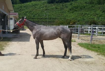 �б����� ����