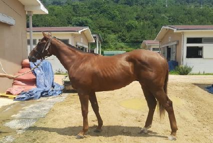 ������ ����