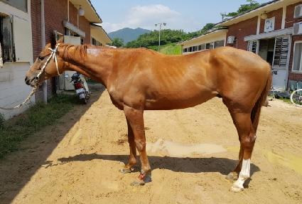 �������� ����