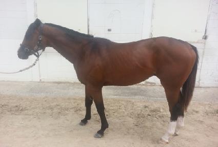 ��ĳ���� ����