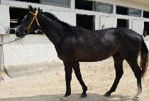 �幵 (HEUMUT) ����