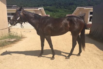 �޸� ����