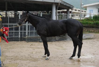 Ƽ� ����