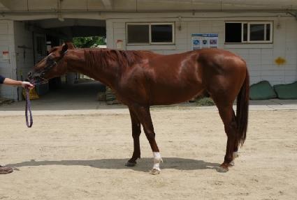 ����ĭ ����