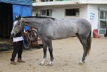 �������� (NURI MARU) ����