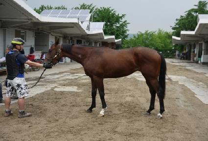 �÷��̽ý����� ����