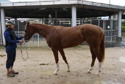 ����������Ʈ�ƿ� ����