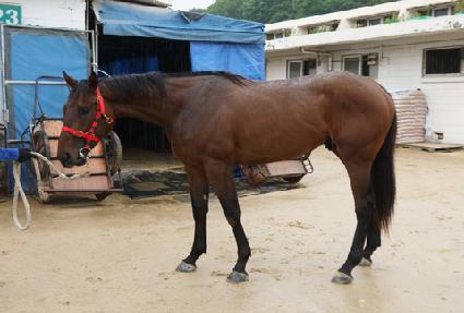 ����Ÿ�� ����